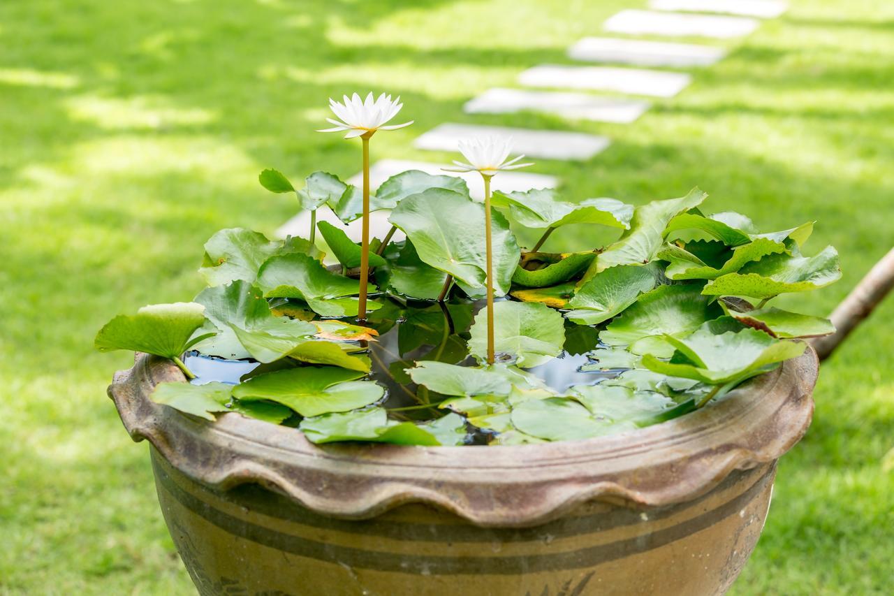 Baan Suaan Serenity Laem Sor Exterior foto